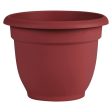 Bloem Ariana 6.8 in. H X 8 in. D Plastic Planter Burnt Red Cheap