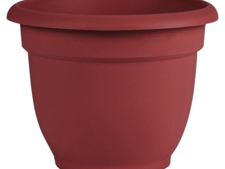 Bloem Ariana 6.8 in. H X 8 in. D Plastic Planter Burnt Red Cheap