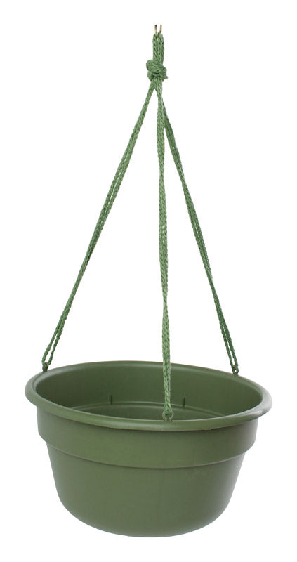 Bloem 6.8 in. H X 12.4 in. D Resin Dura Cotta Hanging Basket Living Green Sale