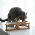 Glass cat bowl cat food bowl cat food bowl Cheap