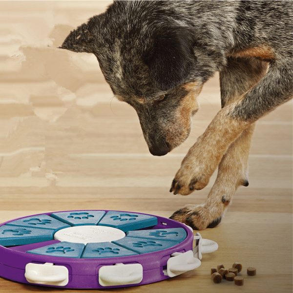 Dog educational toys For Sale