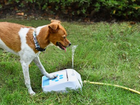 Suministros para exteriores, alimentador de agua para perros, juguetes intelectual Online Sale