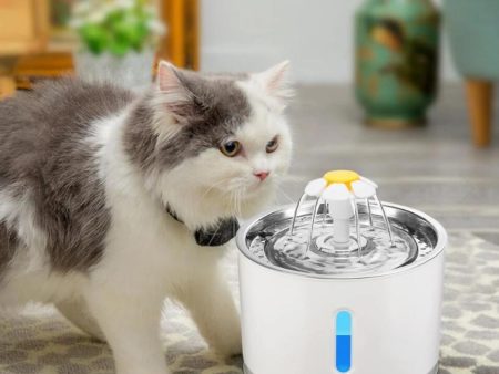 Automatic Pet Cat Water Fountain With LED Lighting USB Dogs Cats Mute Drinker Feeder Bowl Drinking Dispenser Discount