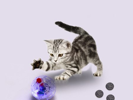 Cat Dog Toy Ball New Fashion Glowing Transparent Plastic Ball Pet Interactive Toy Funny Training Cat GlowBalls Toys Pet Products Hot on Sale