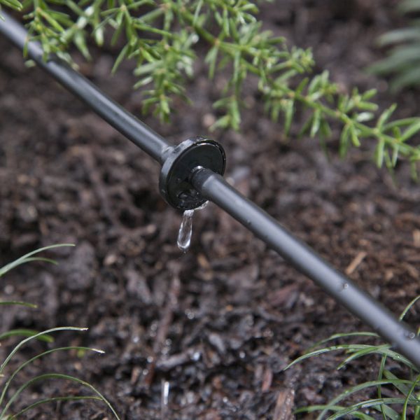 Raindrip Spot Drip Irrigation Dripper 1 gph 10 pk For Cheap